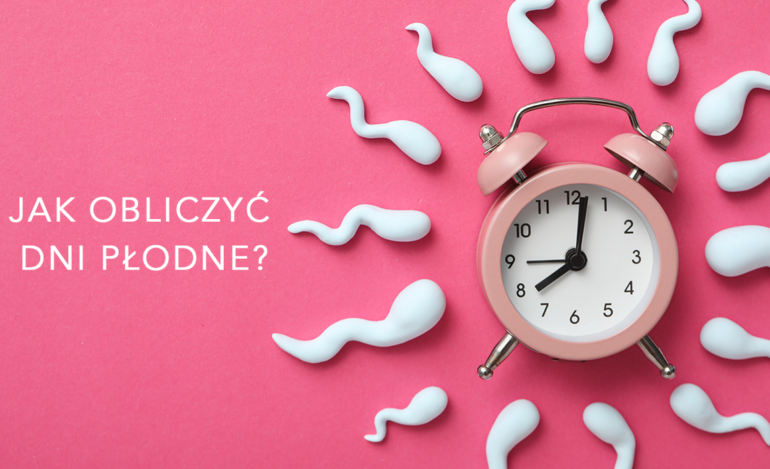 Obliczanie dni płodnych w 4 prostych krokach. Źródło zdjęcia: Envato Elements