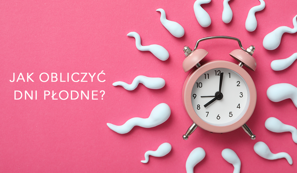 Obliczanie dni płodnych w 4 prostych krokach. Źródło zdjęcia: Envato Elements